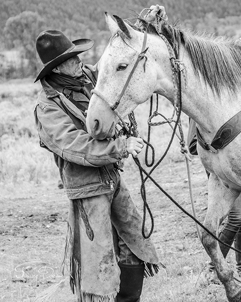 Yellowstone Cowboy