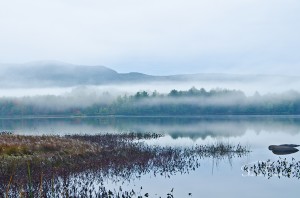 The view across Powder Mill Pond.