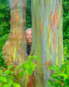 The Rainbow Tree