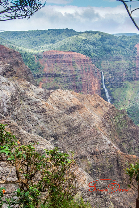 Waimea Vista