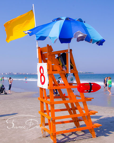 Summer at the beach