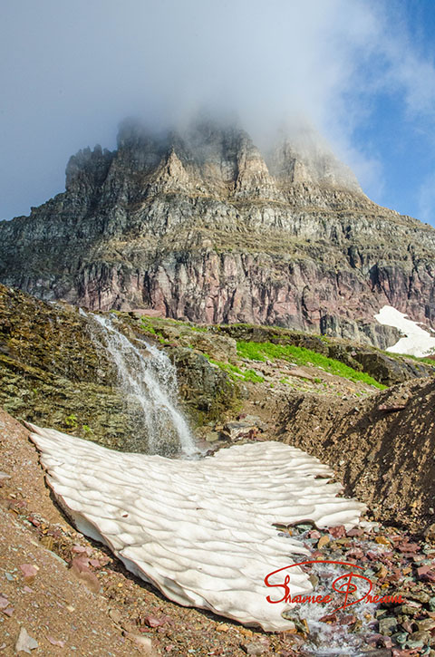 Snow Bridge Logan Pass