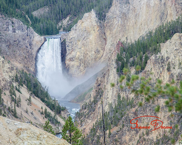 Lower Falls, Yellowstone