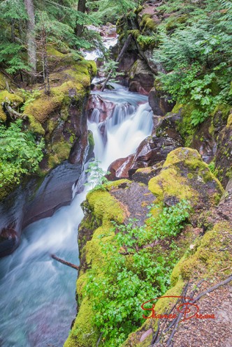 Avalanche Gorge, Glacier Park