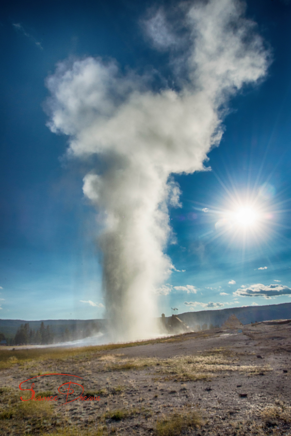 Old Faithful, Yellowstone