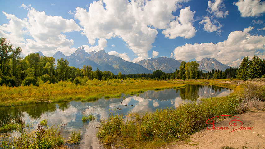 Schwabacher Landing