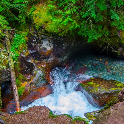 Trail of the Cedars