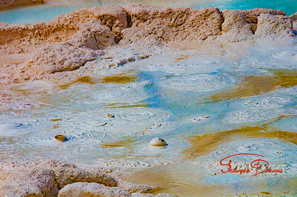 Yellowstone fountain mud pots