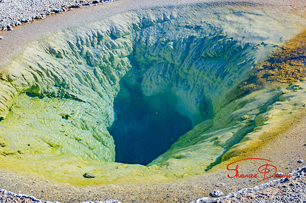 Belgian Pool, Yellowstone