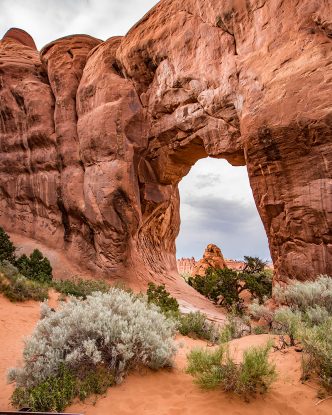 Pine Tree Arch