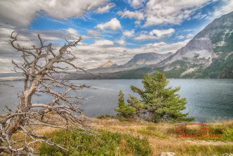 Golden Staircase GNP