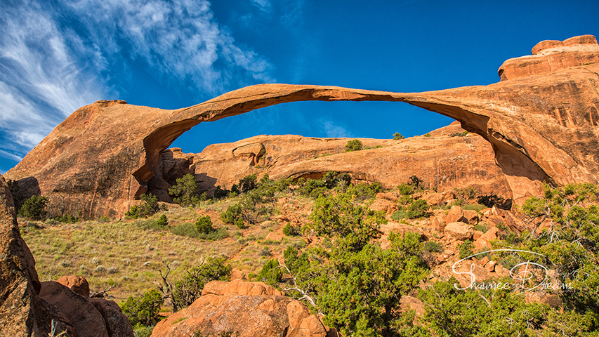 Landscape Arch